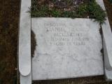 image of grave number 81887